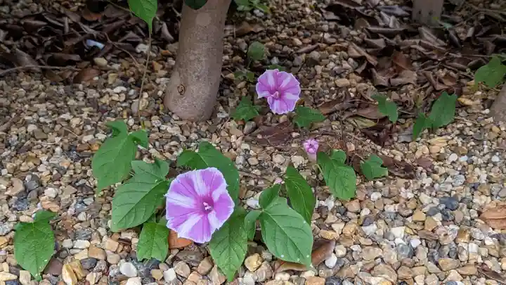 勝林寺(京都府)