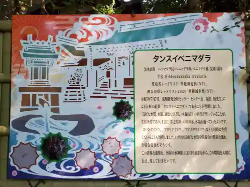 曾屋神社(神奈川県)