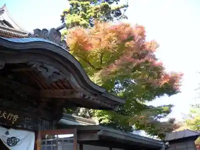 高尾山薬王院の本殿・本堂