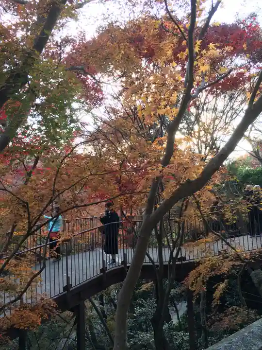 清水寺(京都府)