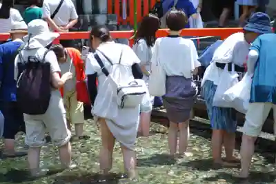 賀茂御祖神社（下鴨神社）(京都府)