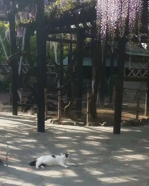 豊國神社(愛知県)