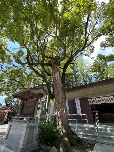 黒磯神社(栃木県)