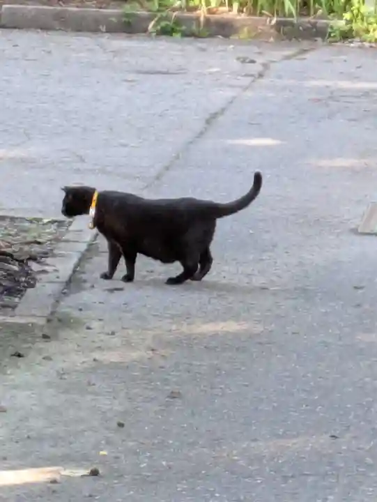 鳥越八幡神社(山形県)