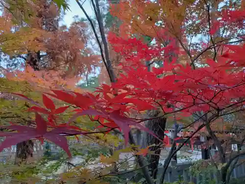 阿部野神社の自然