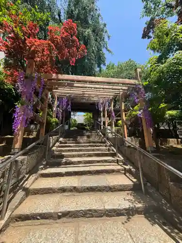 法輪寺の{uncategorized: "未分類", other: "その他", undefined: "問題あり", building: "その他建物", grave: "お墓", sacred_gate: "鳥居", guardian: "狛犬", statue: "像", buddha: "仏像", history: "歴史", nature: "自然", garden: "庭園", animal: "動物", pagoda: "塔", temizu: "手水舎", mountain_gate: "山門・神門", sanctuary: "本殿・本堂", subordinate: "末社・摂社", art: "芸術", scenery: "景色", jizo: "地蔵", ema: "絵馬", goshuin: "御朱印", omikuji: "おみくじ", items: "授与品その他", amulet: "お守り", goshuincho: "御朱印帳", eats: "食事", festival: "お祭り", votive_dance: "神楽", shichigosan: "七五三参", wedding: "結婚式", experience: "体験その他", initially: "初詣", around: "周辺", anti_infection: "感染症対策"}