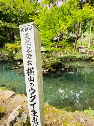 横山不動尊の庭園