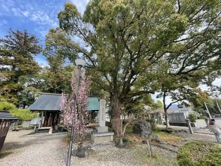 滋賀県護国神社の{uncategorized: "未分類", other: "その他", undefined: "問題あり", building: "その他建物", grave: "お墓", sacred_gate: "鳥居", guardian: "狛犬", statue: "像", buddha: "仏像", history: "歴史", nature: "自然", garden: "庭園", animal: "動物", pagoda: "塔", temizu: "手水舎", mountain_gate: "山門・神門", sanctuary: "本殿・本堂", subordinate: "末社・摂社", art: "芸術", scenery: "景色", jizo: "地蔵", ema: "絵馬", goshuin: "御朱印", omikuji: "おみくじ", items: "授与品その他", amulet: "お守り", goshuincho: "御朱印帳", eats: "食事", festival: "お祭り", votive_dance: "神楽", shichigosan: "七五三参", wedding: "結婚式", experience: "体験その他", initially: "初詣", around: "周辺", anti_infection: "感染症対策"}