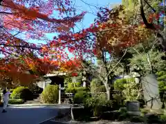 増上寺のお墓