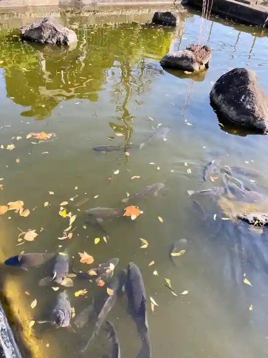 白蛇辨財天のその他建物