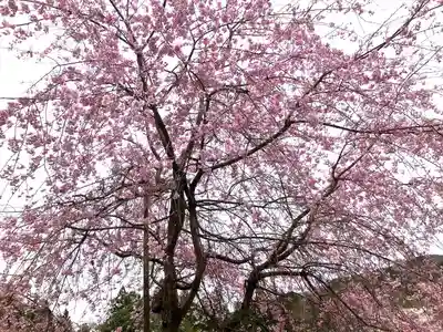 淡墨観音(岐阜県)