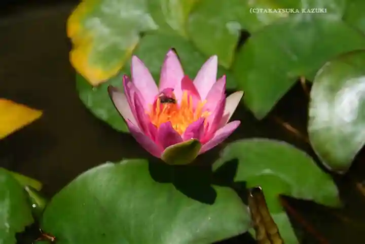 長運寺(神奈川県)
