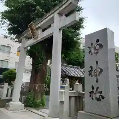 柏神社の御朱印