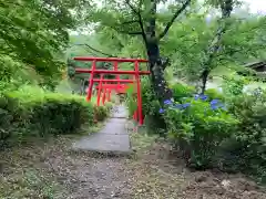 大善寺の鳥居