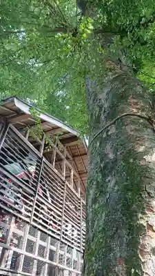 祖母井神社のその他建物