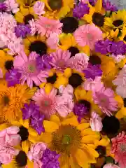 彌都加伎神社の手水