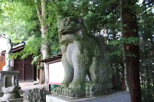 白和瀬神社の狛犬