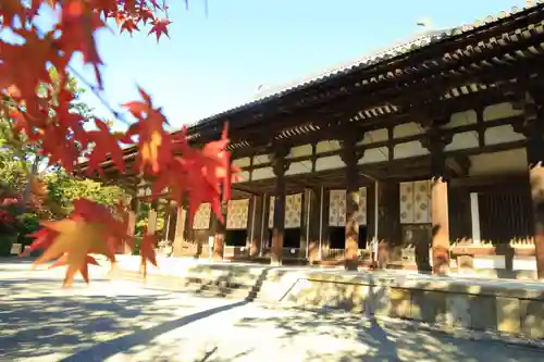 唐招提寺(奈良県)