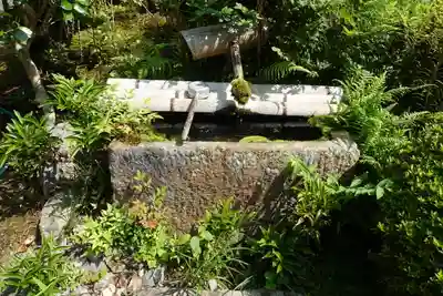神藏寺の手水舎