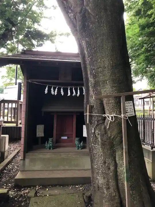 氷川神社の本殿・本堂