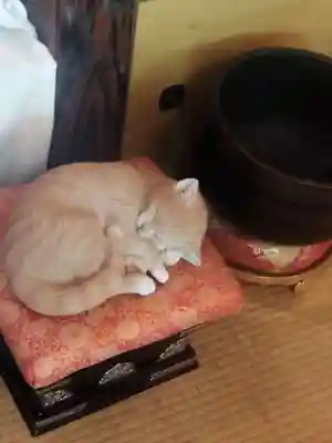 猫猫寺(京都府)