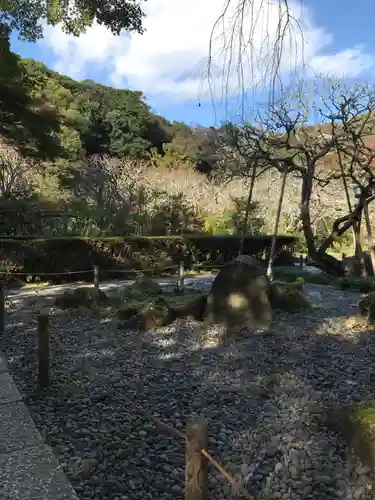 瑞泉寺の庭園