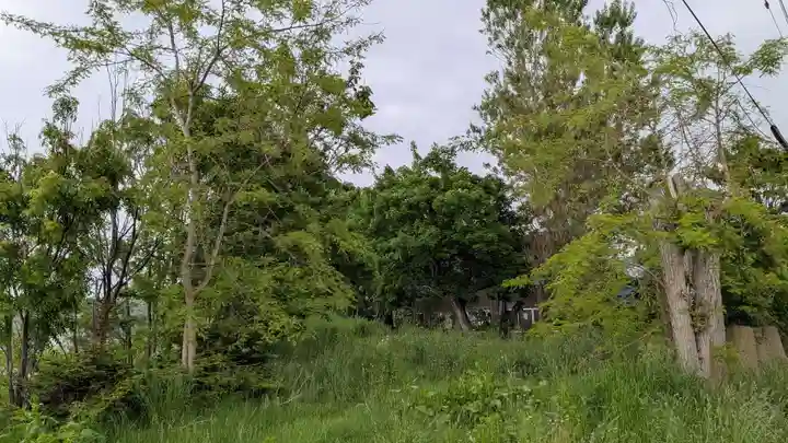 湊神社跡の自然