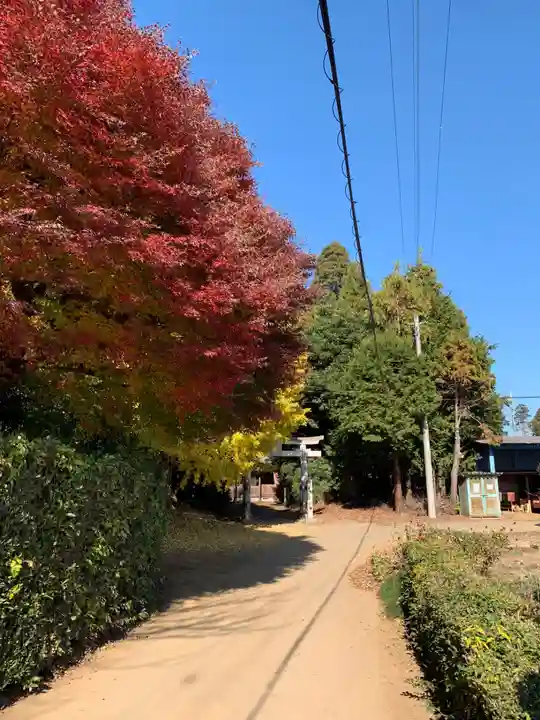 星宮神社(千葉県)