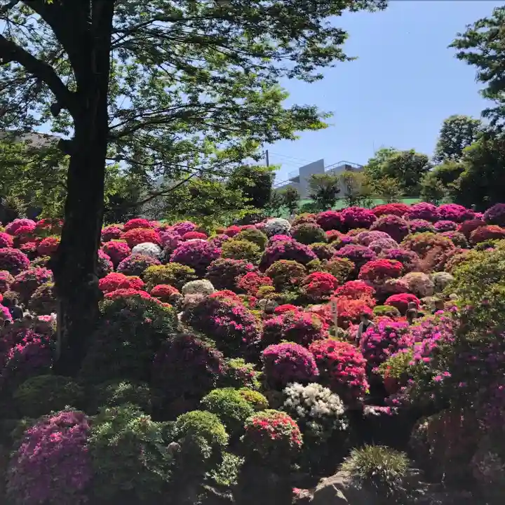 乙女稲荷神社(東京都)