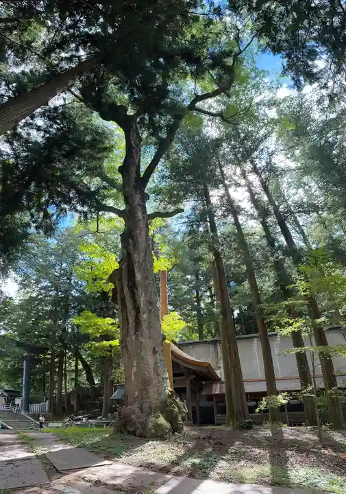 諏訪大社(長野県)