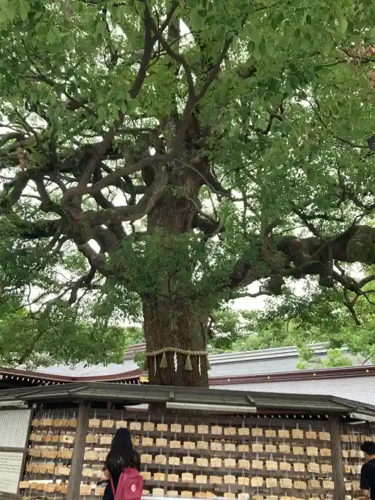 明治神宮(東京都)