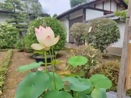 東林院(京都府)