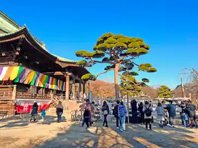 護国寺のその他建物