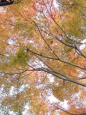 宝厳寺(滋賀県)