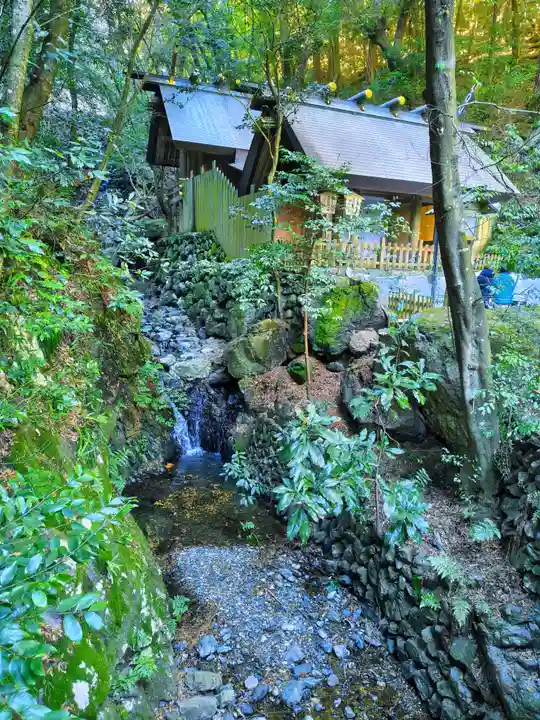 多度大社の自然