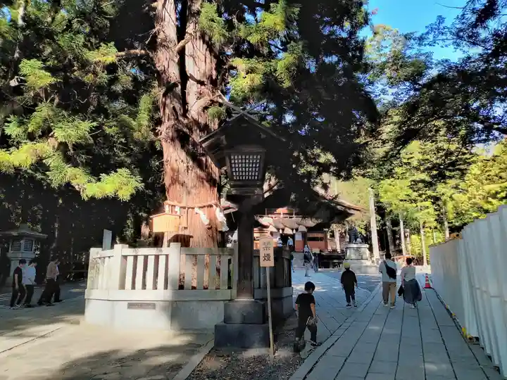 諏訪大社下社秋宮(長野県)