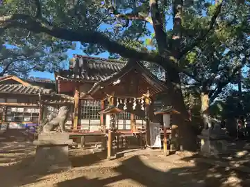 粟島神社の本殿・本堂