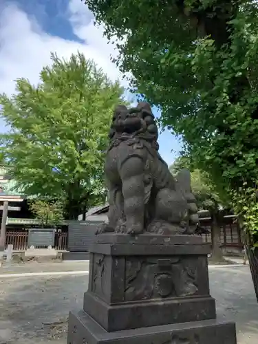 牛嶋神社の狛犬