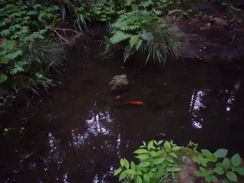 行道山 浄因寺の自然