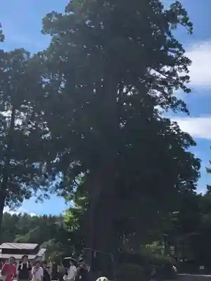 戸隠神社中社(長野県)