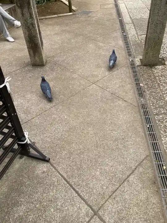 鳩森八幡神社(東京都)