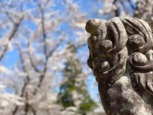 眞田神社の狛犬