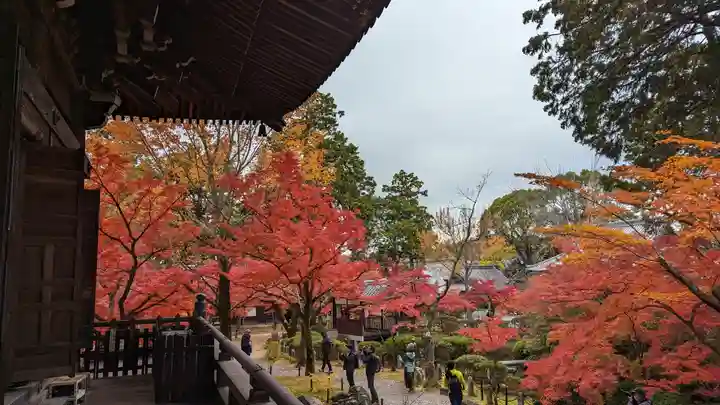 真正極楽寺(真如堂)(京都府)