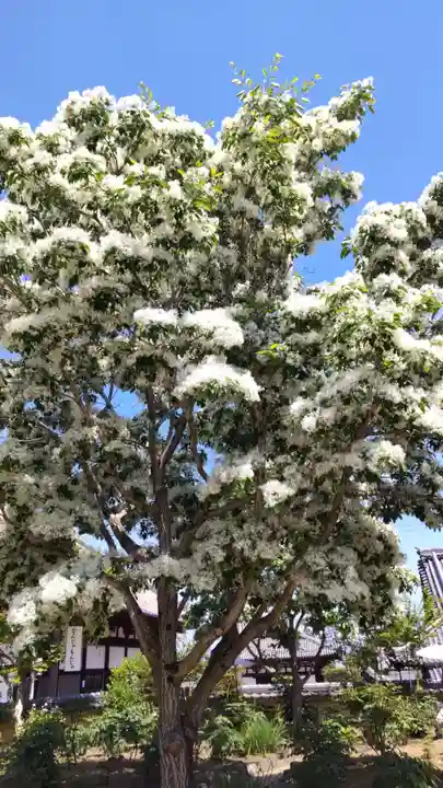 當麻寺西南院(奈良県)