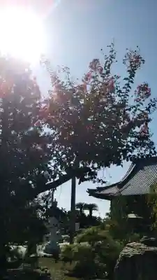 生善院(埼玉県)