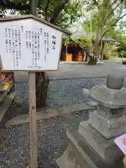 津島神社の建物その他