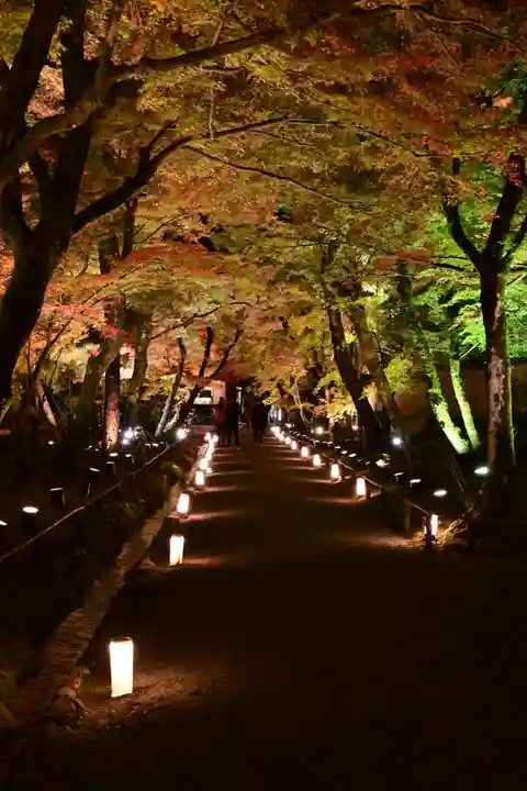 宝厳院(京都府)
