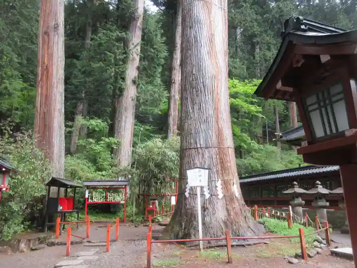 日光二荒山神社(栃木県)