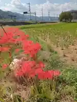 穴太寺(京都府)