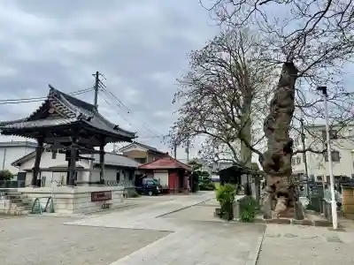 多聞寺(埼玉県)